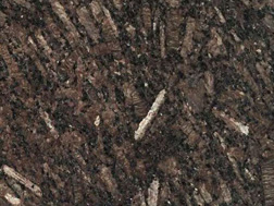 皇(huang)室啡1號